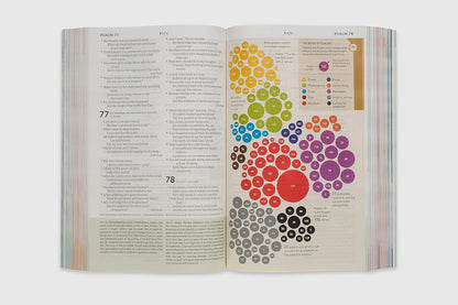 NLT Student Life Application Study Bible, Filament Enabled (Softcover, Red Lette
