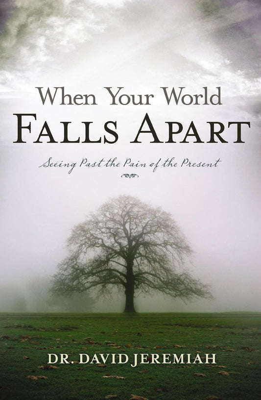 When Your World Falls Apart: See past the Pain of the Present