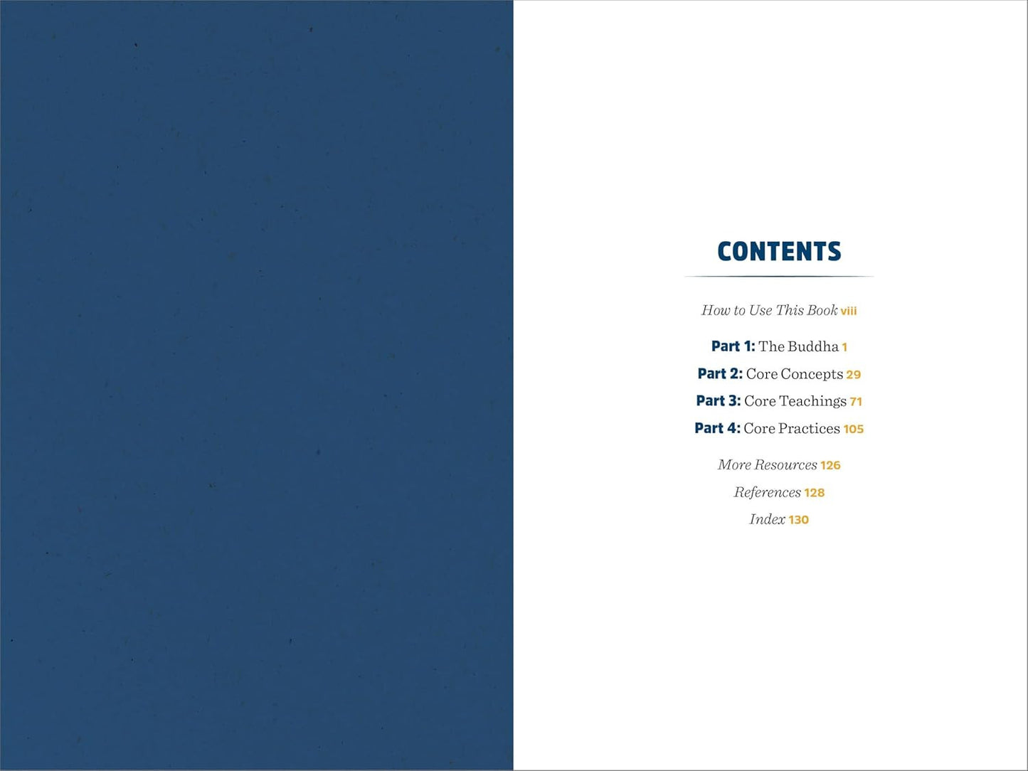 No-Nonsense Buddhism for Beginners: Clear Answers to Burning Questions about Cor