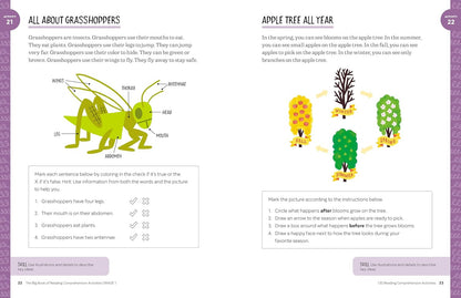 The Big Book of Reading Comprehension Activities, Grade 1: 120 Activities for Af