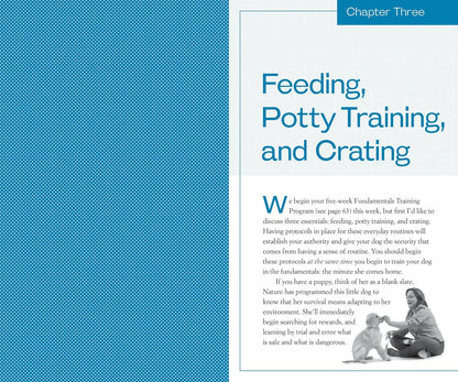 Training the Best Dog Ever: a 5-Week Program Using the Power of Positive Reinfor