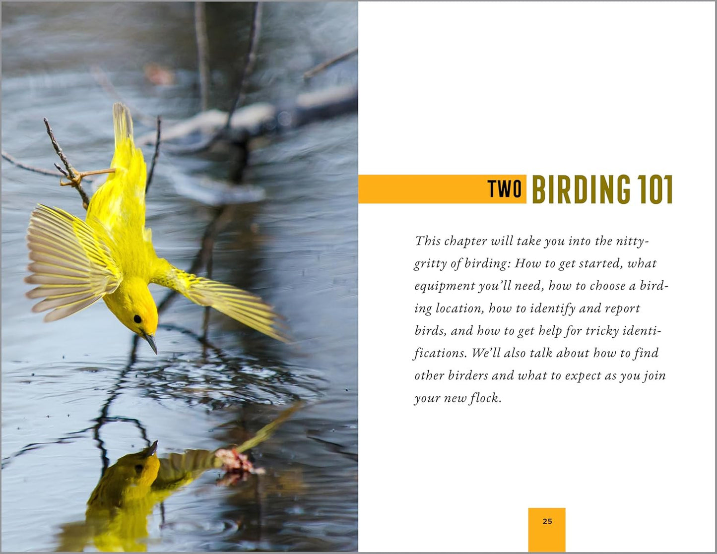 North American Bird Watching for Beginners: Field Notes on 150 Species to Start