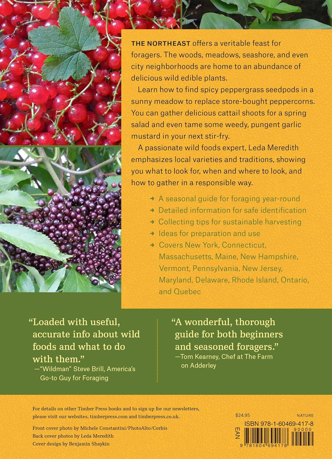 Northeast Foraging: 120 Wild and Flavorful Edibles from Beach Plums to Wineberri