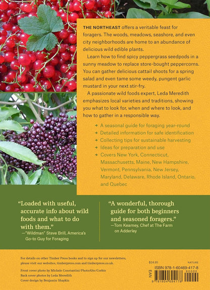 Northeast Foraging: 120 Wild and Flavorful Edibles from Beach Plums to Wineberri