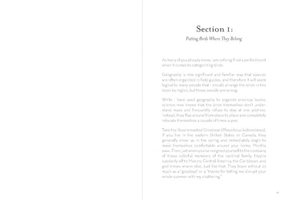 A Dumb Birds Field Guide to the Worst Birds Ever