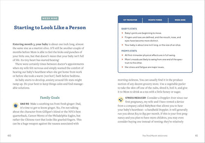 We'Re Pregnant! the First Time Dad'S Pregnancy Handbook
