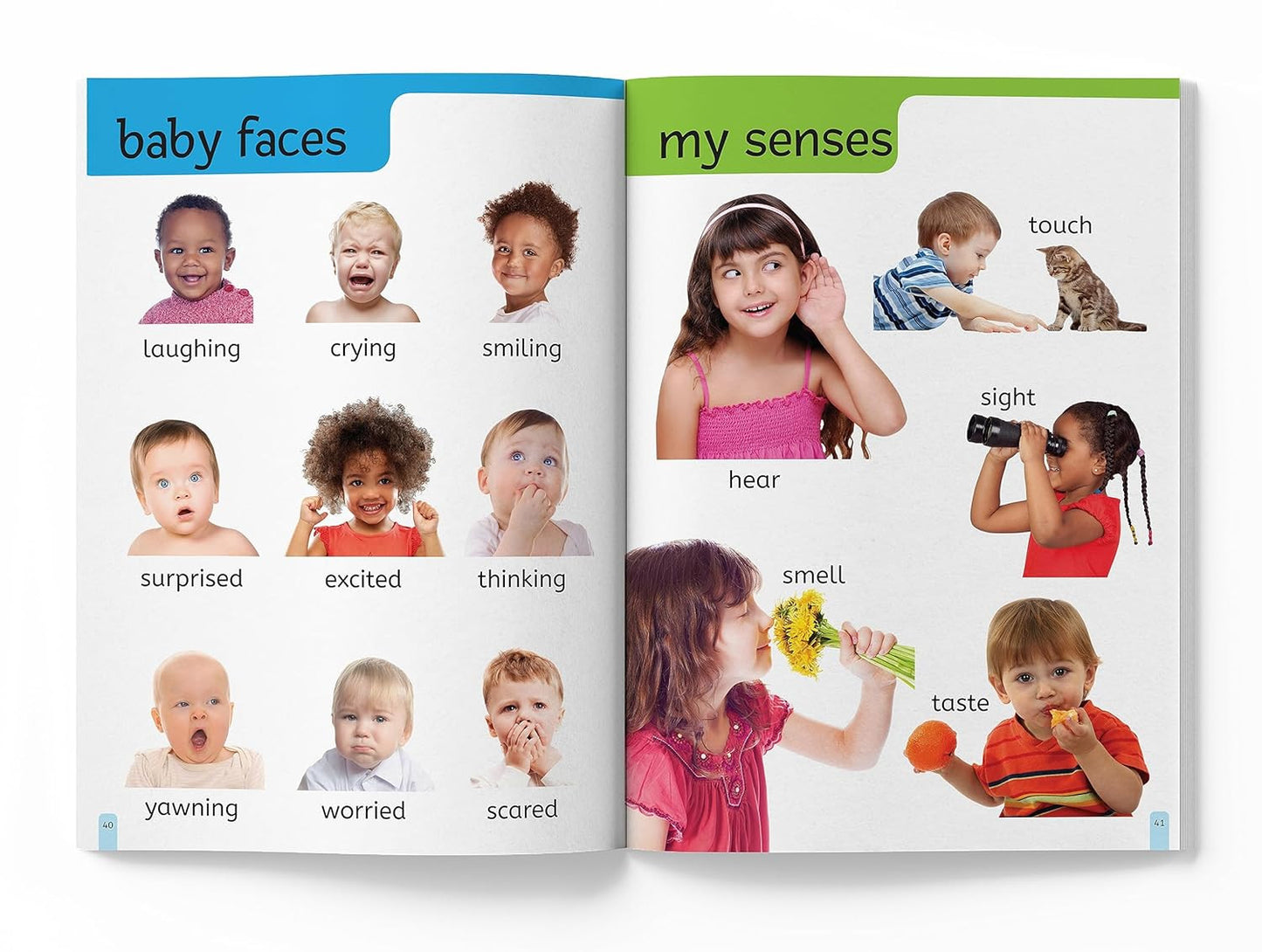 My First 1000 Words: Early Learning Picture Book