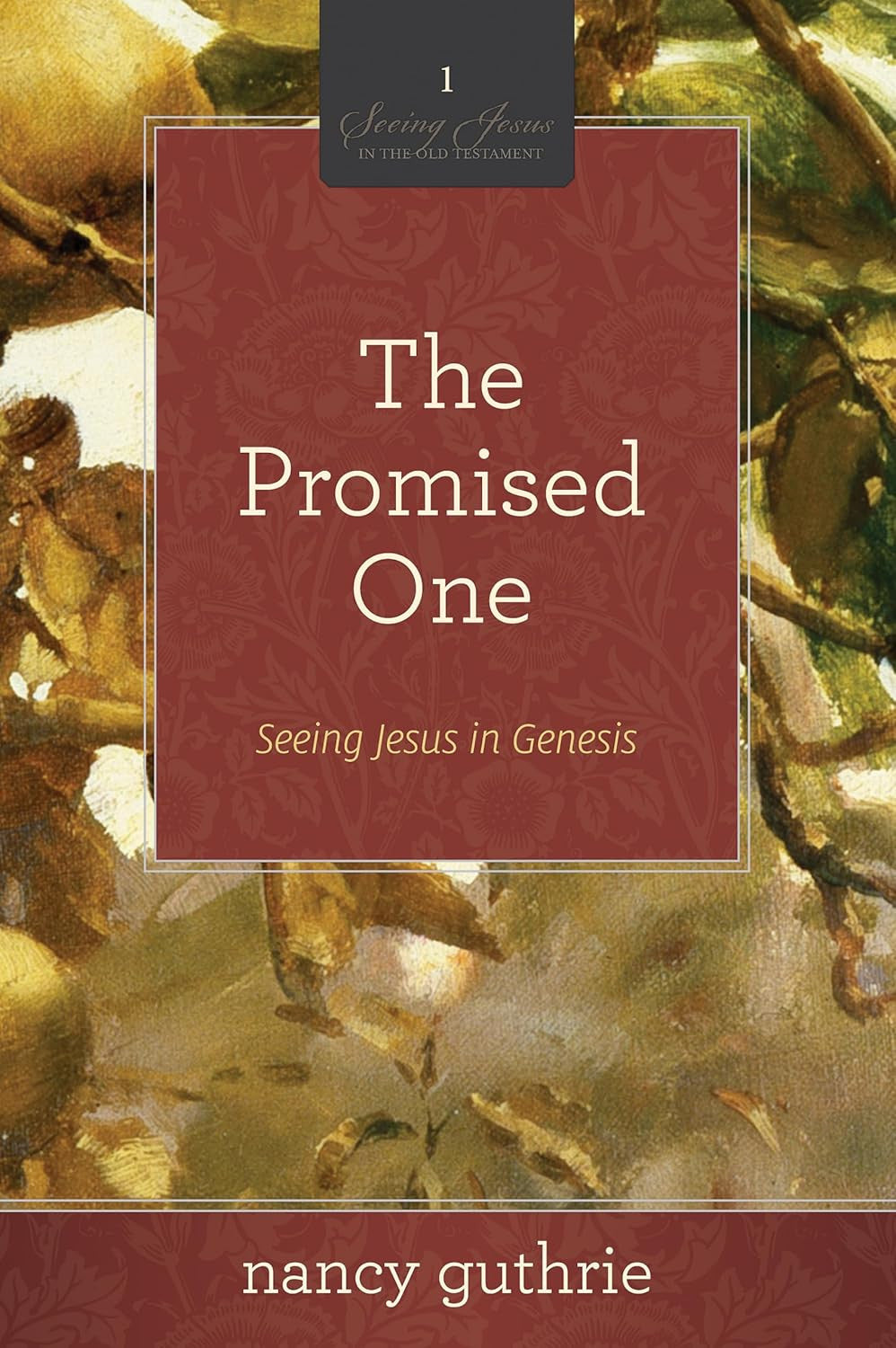 The Promised One: Seeing Jesus in Genesis (A 10-Week Bible Study) (Volume 1)
