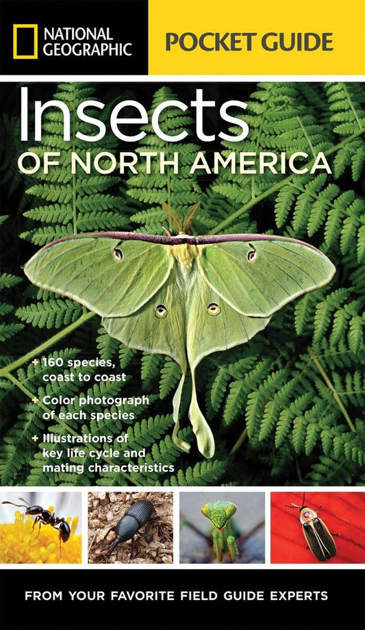 National Geographic Pocket Guide to Insects of North America: from Your Favorite