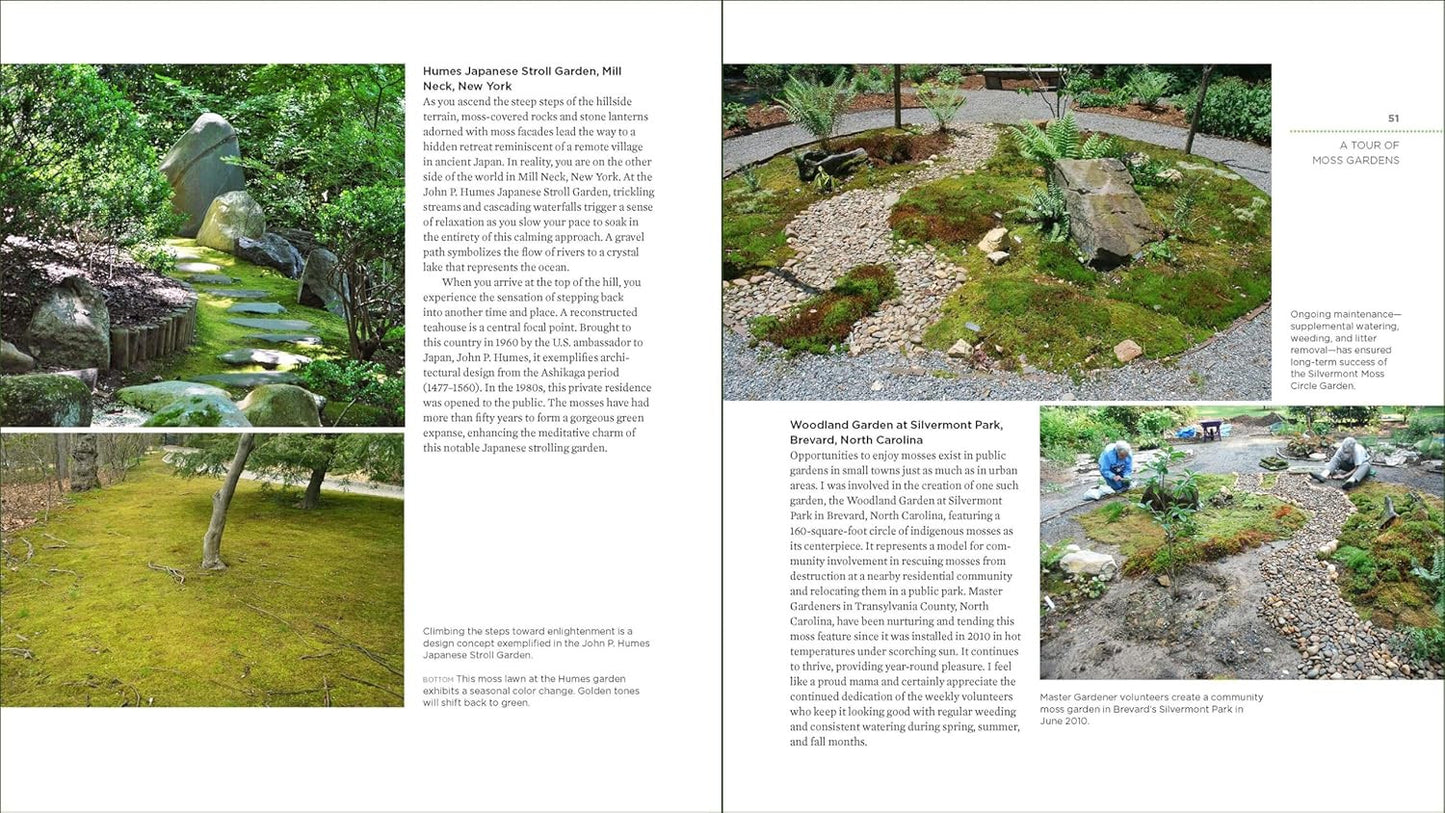 The Magical World of Moss Gardening