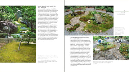 The Magical World of Moss Gardening