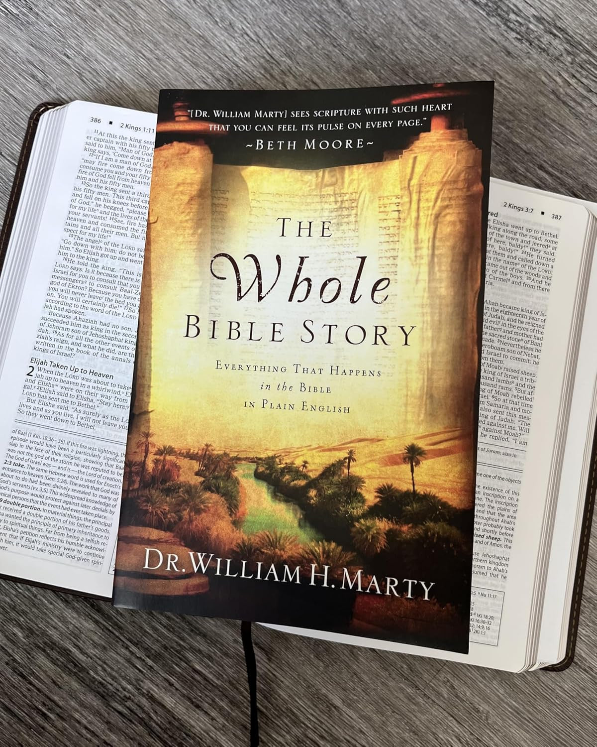 The Whole Bible Story: Everything That Happens in the Bible in Plain English (A