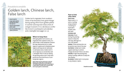 The Bonsai Beginner'S Bible