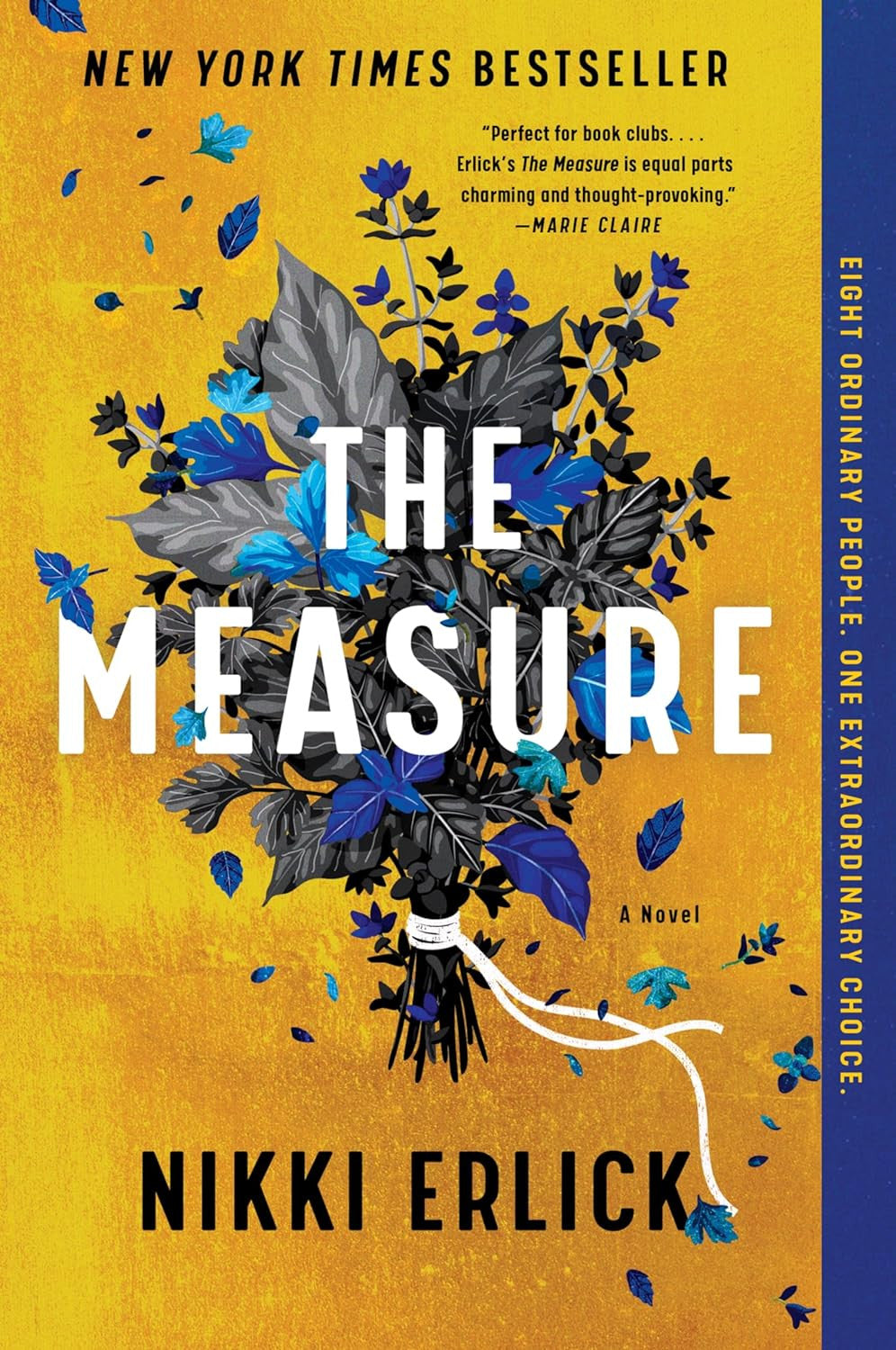The Measure: a Novel