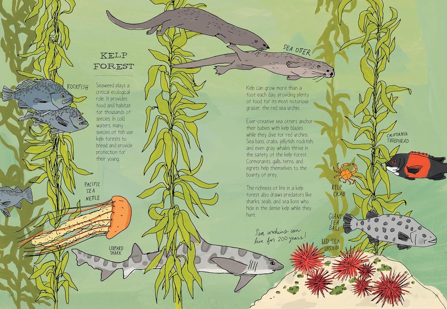 Ocean Anatomy: the Curious Parts & Pieces of the World under the Sea