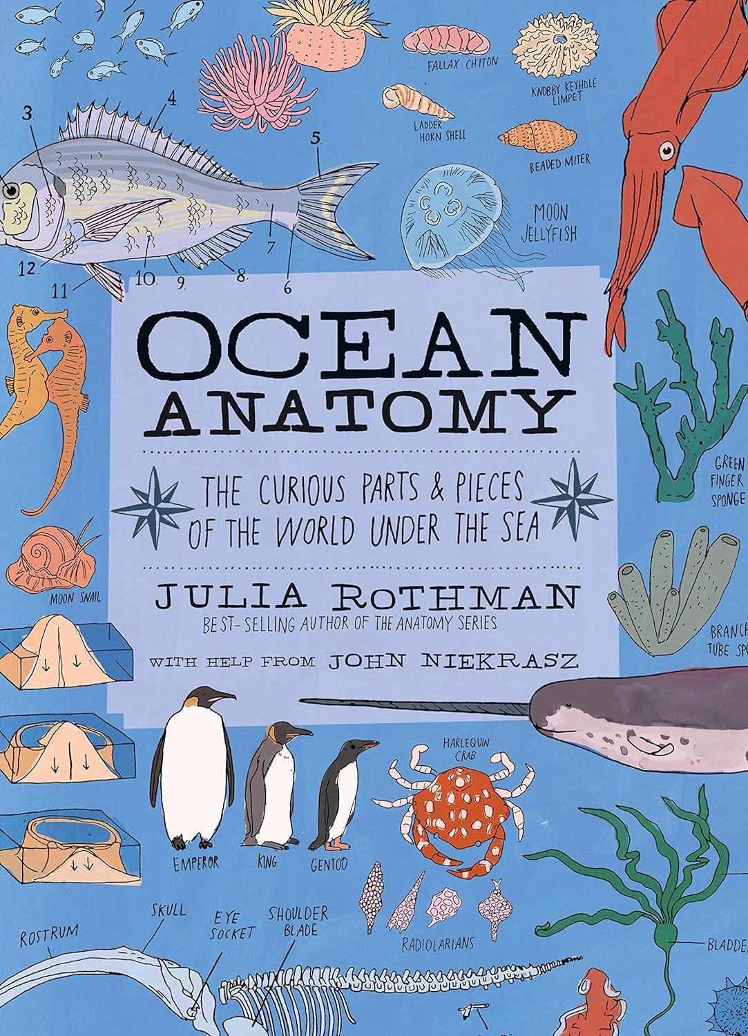 Ocean Anatomy: the Curious Parts & Pieces of the World under the Sea