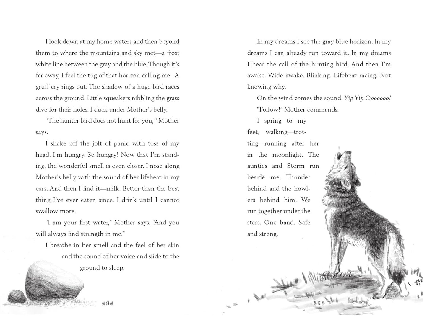 A Horse Named Sky (A Voice of the Wilderness Novel)