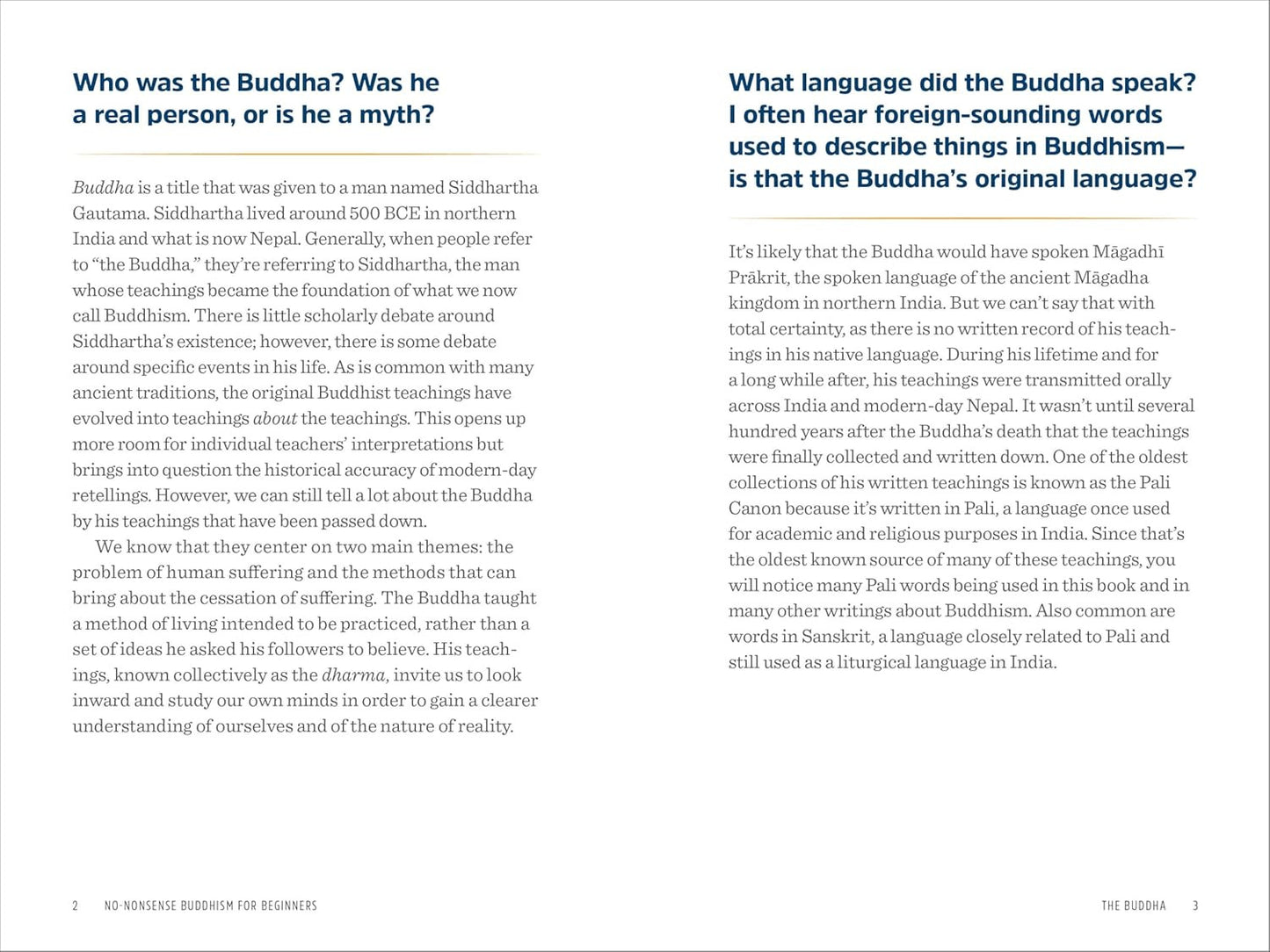 No-Nonsense Buddhism for Beginners: Clear Answers to Burning Questions about Cor