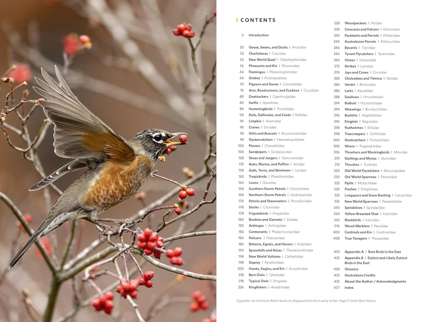 National Geographic Field Guide to the Birds of the United States and Canada―Eas