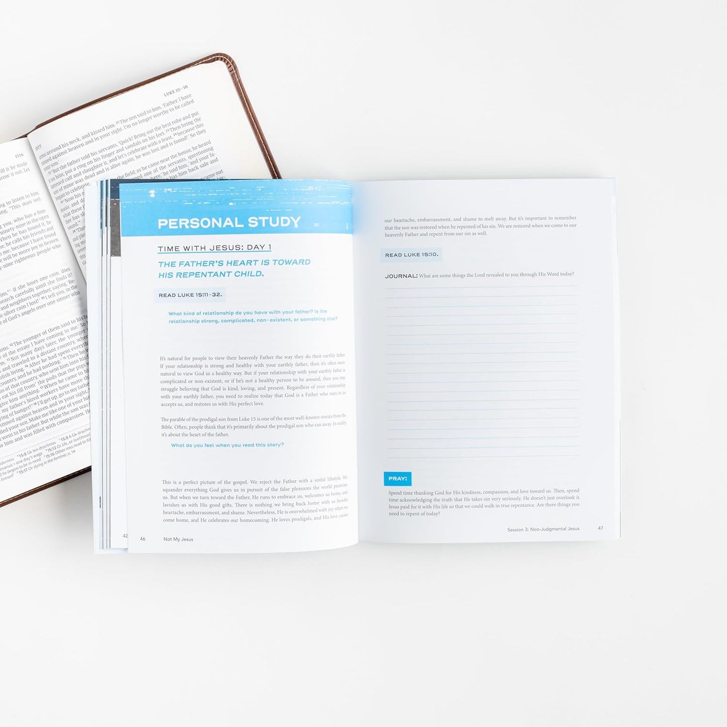 Not My Jesus - Teen Bible Study Book: Reclaiming the Truth, Rejecting the Idols