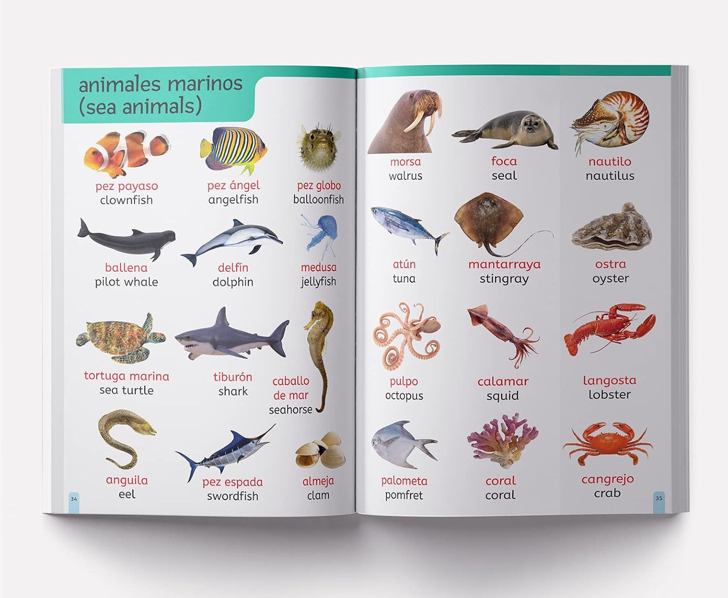 My First 1000 English-Espanol Words for Kids