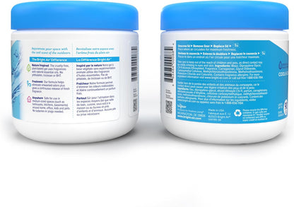 14 Oz. Super Odor Eliminator, for Medium-Size Spaces, Cool & Clean Scent, Case o