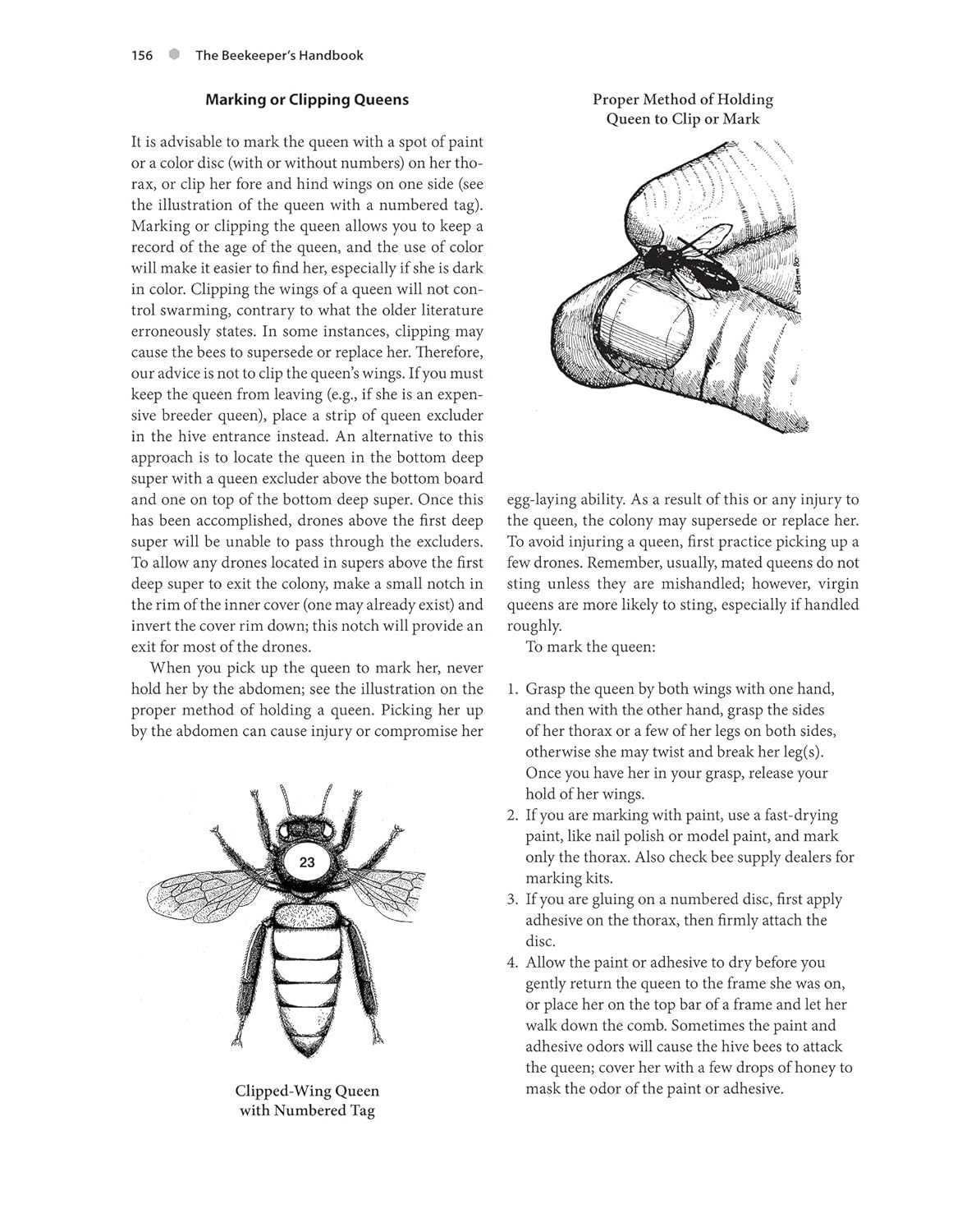 The Beekeeper'S Handbook