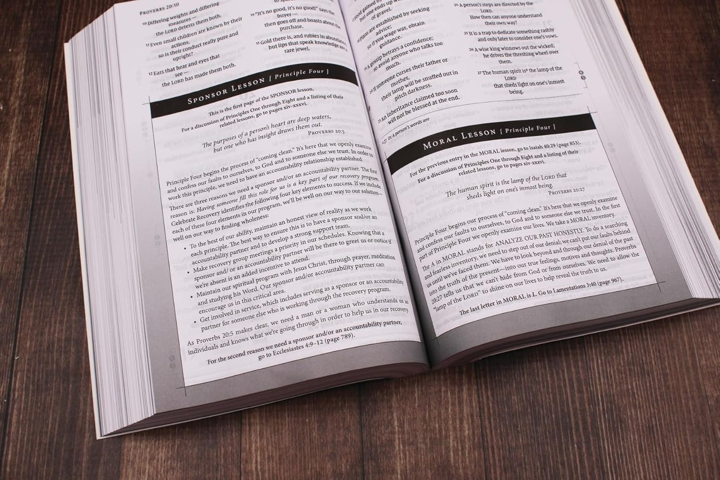 NIV, Celebrate Recovery Study Bible, Paperback, Comfort Print