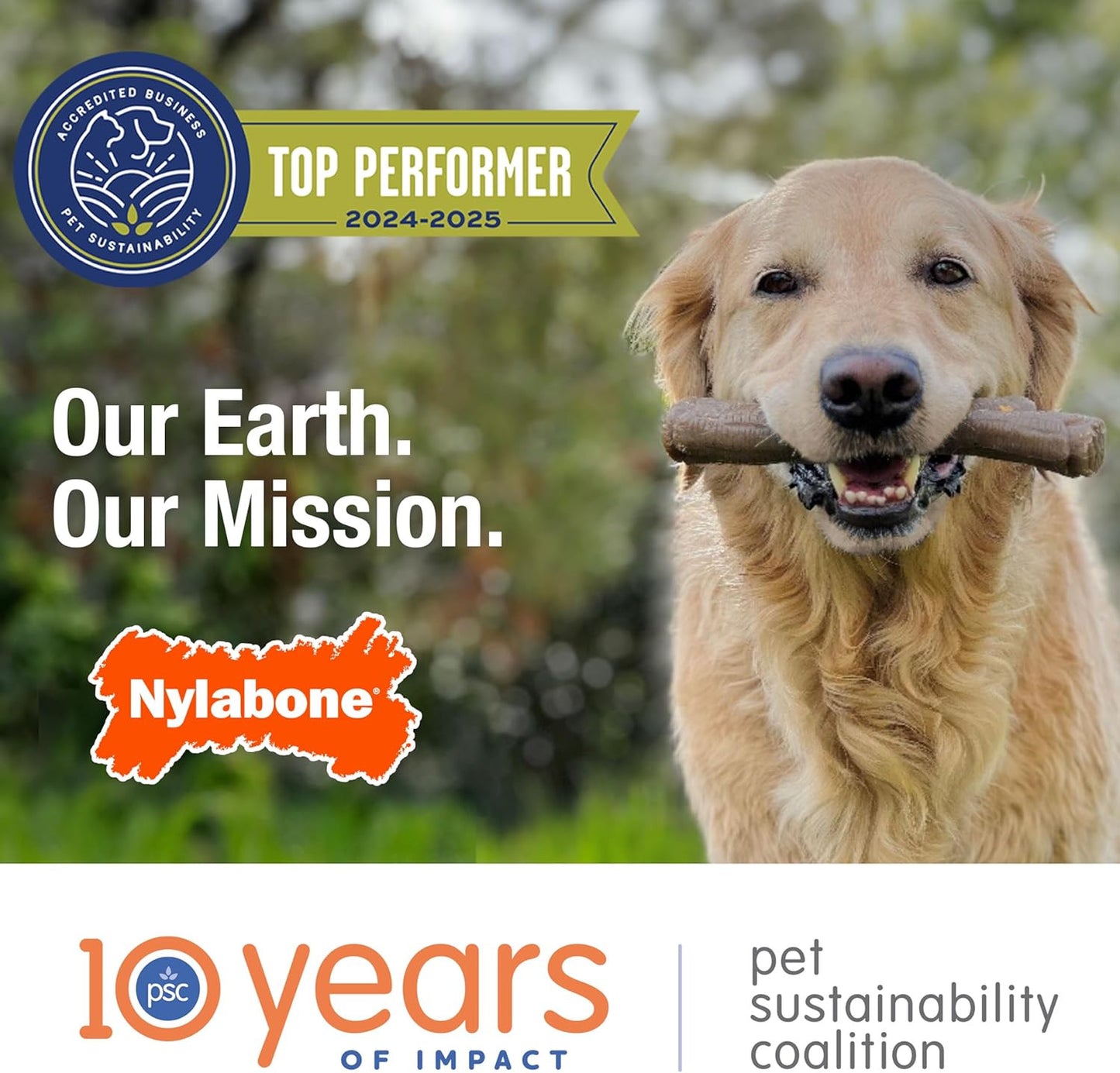 Original Bone Flexi Chew Toy for Dogs, Dog Toys for Moderate Chewers, Bacon & Pe