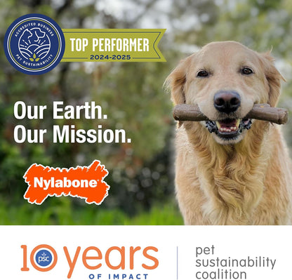 Original Bone Flexi Chew Toy for Dogs, Dog Toys for Moderate Chewers, Bacon & Pe