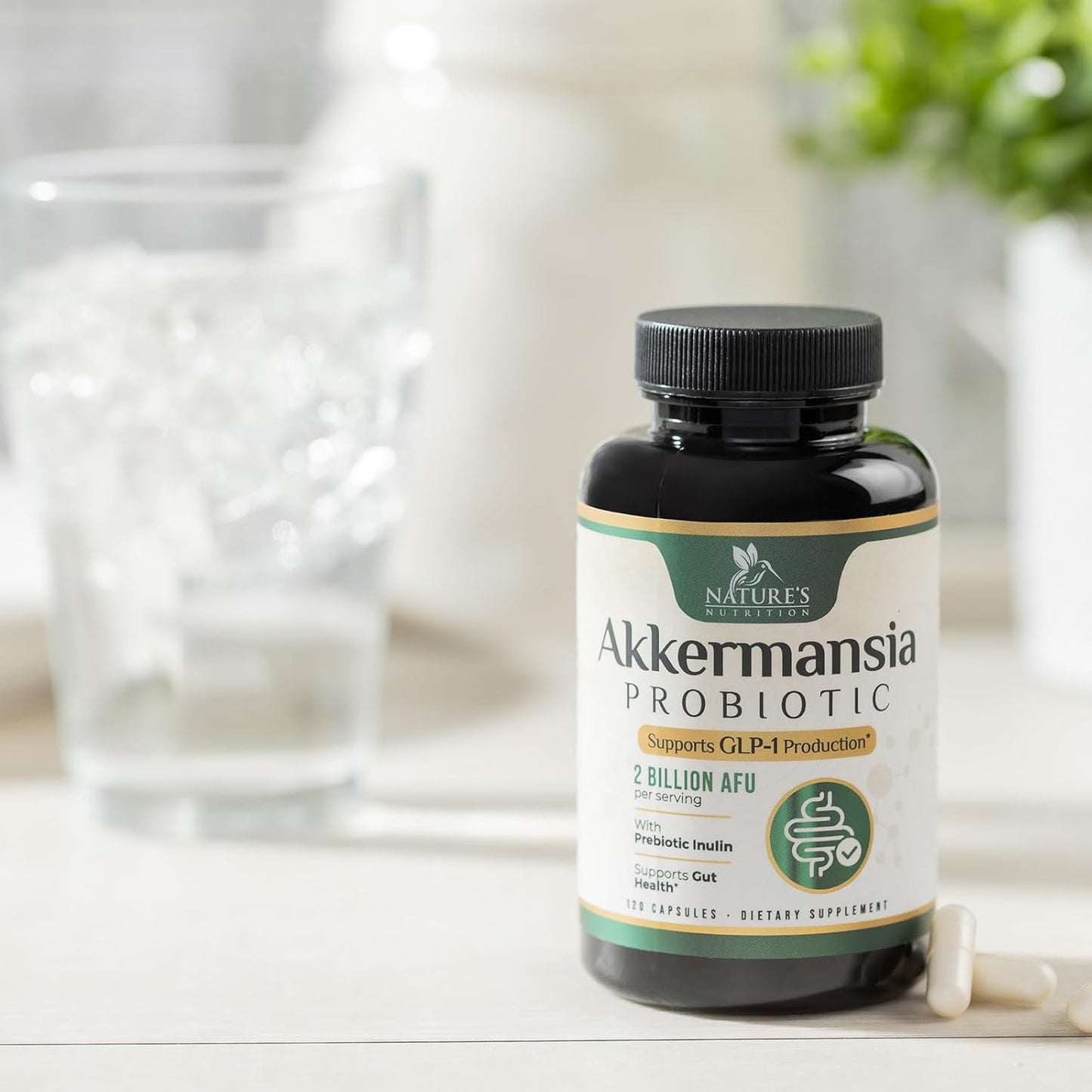 Akkermansia Probiotic Supplement for Women & Men, Akkermansia Muciniphila GLP 1