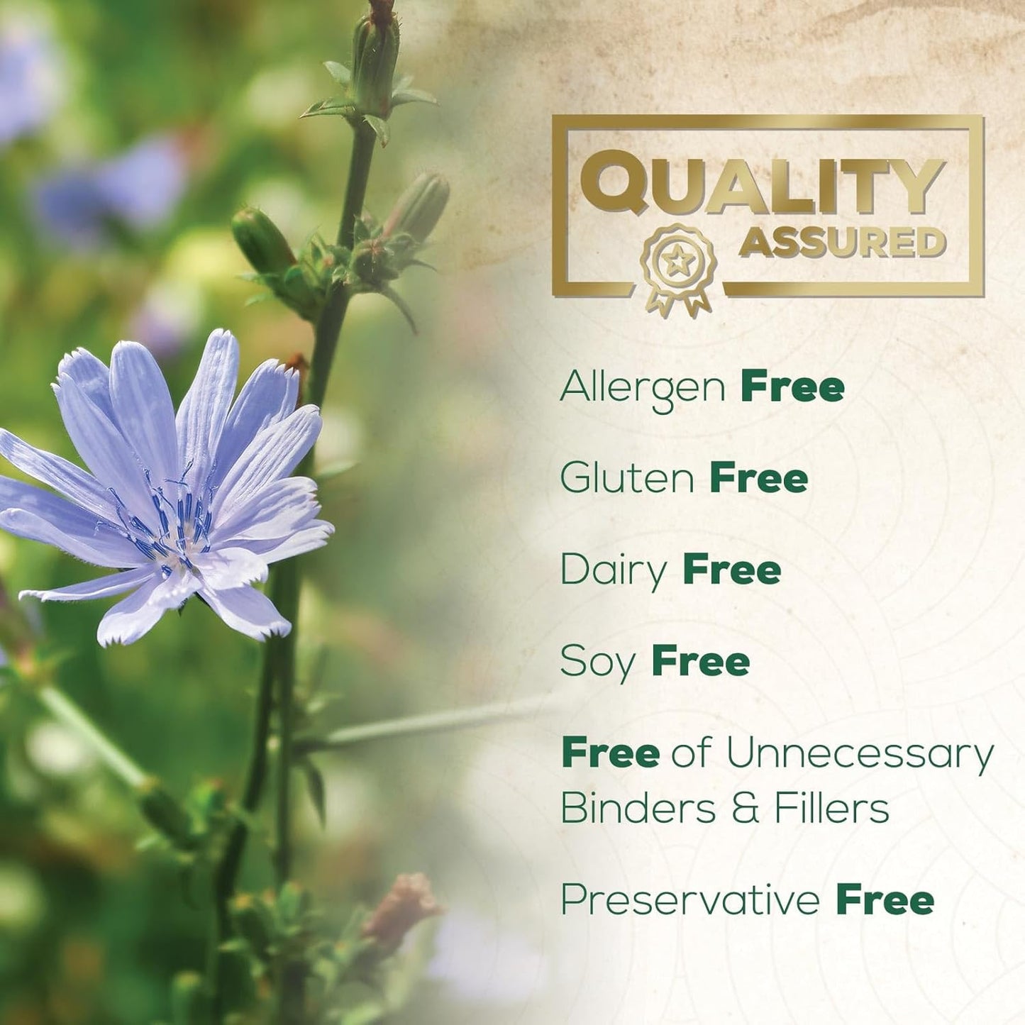 Akkermansia Probiotic Supplement for Women & Men, Akkermansia Muciniphila GLP 1