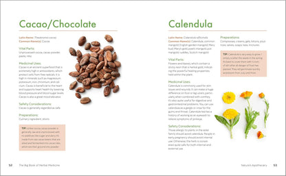 The Big Book of Herbal Medicine: 300 Natural Remedies for Health and Wellness