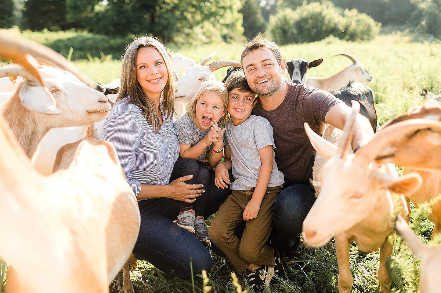 All Natural Deodorant Cream, Aluminum Free Deodorant for Women or Men, 2.4 Ounce