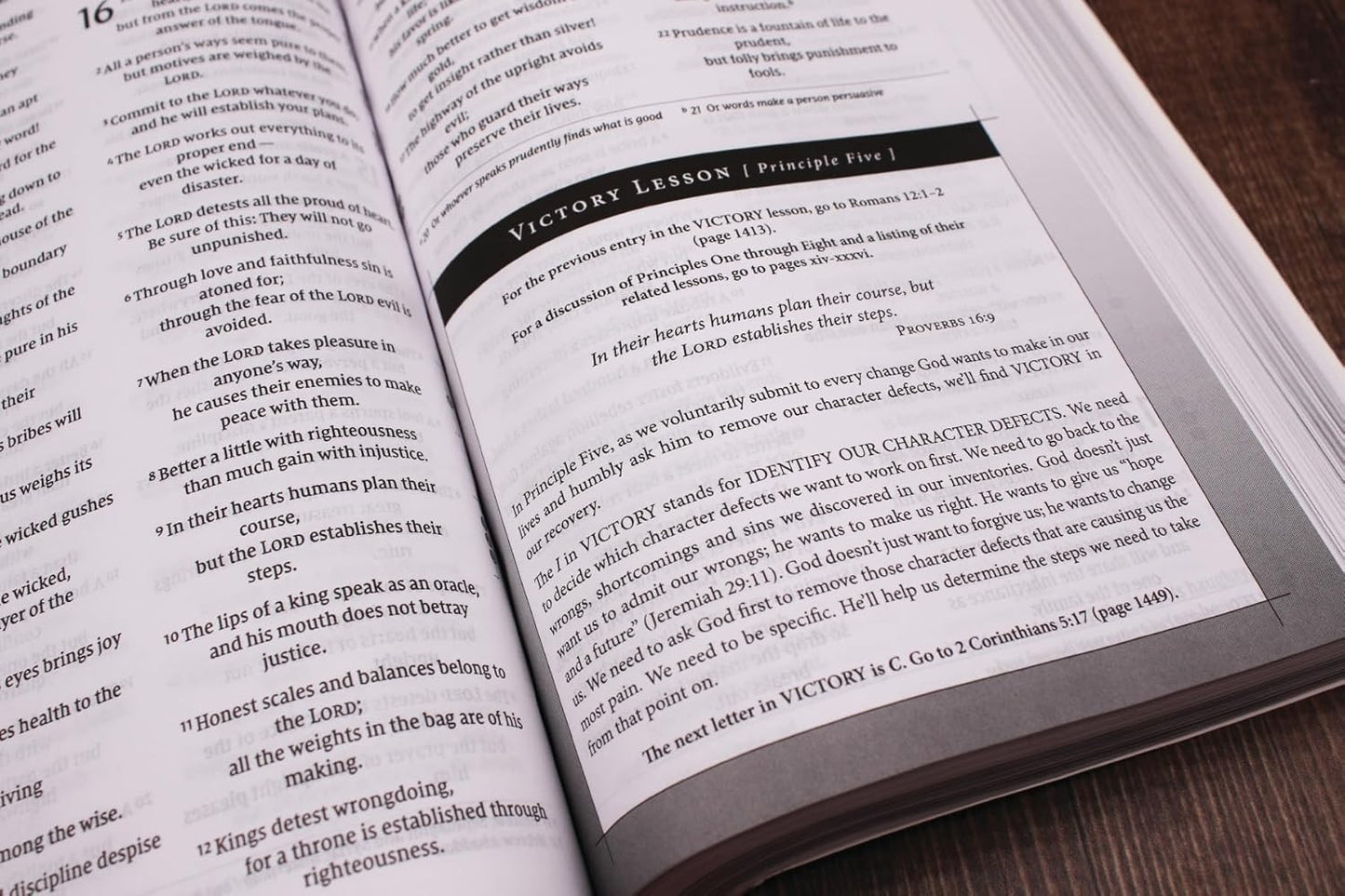 NIV, Celebrate Recovery Study Bible, Paperback, Comfort Print