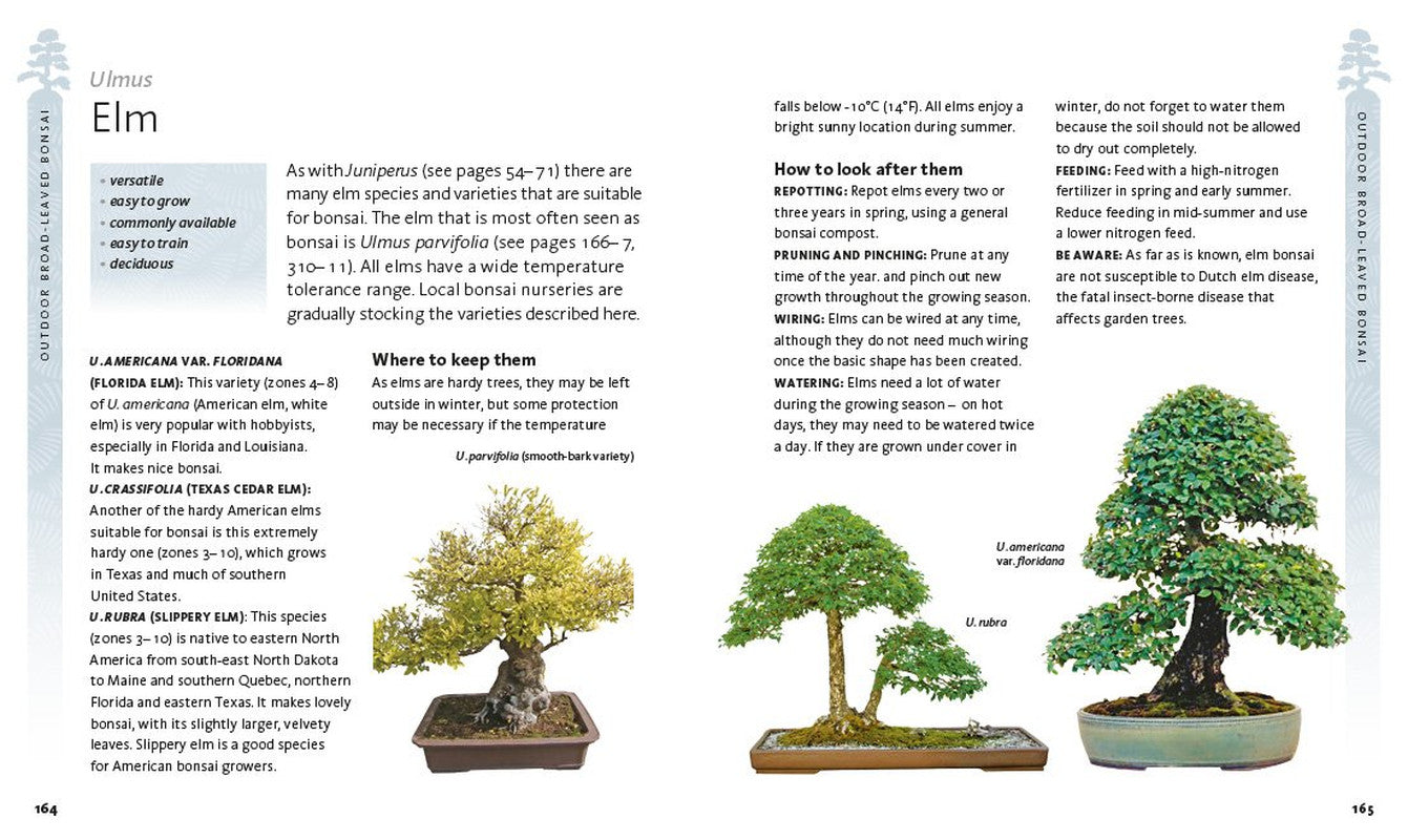 The Bonsai Beginner'S Bible
