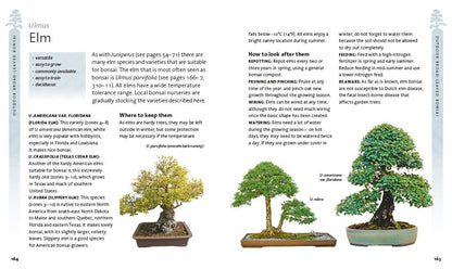 The Bonsai Beginner'S Bible