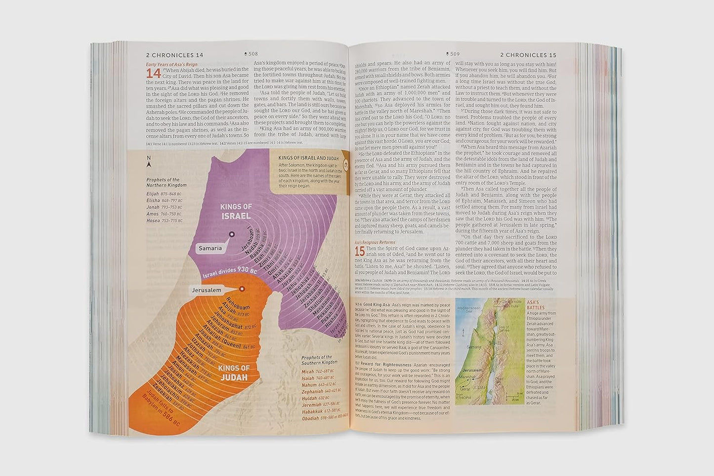 NLT Student Life Application Study Bible, Filament Enabled (Softcover, Red Lette