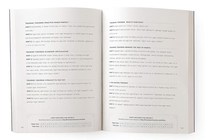 The Master Theorem - a Book of Puzzles, Intrigue and Wit