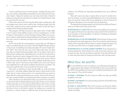 Training the Best Dog Ever: a 5-Week Program Using the Power of Positive Reinfor