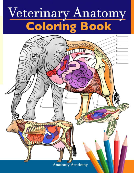Veterinary Anatomy Coloring Book: Animals Physiology Self-Quiz Color Workbook fo
