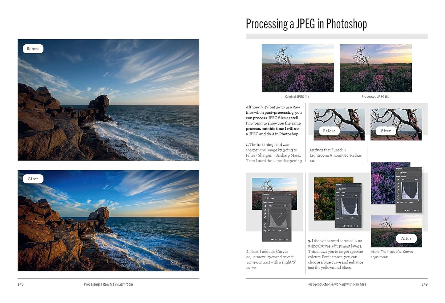 The School of Photography: Beginner’S Guide: Master Your Camera, Clear up Confus