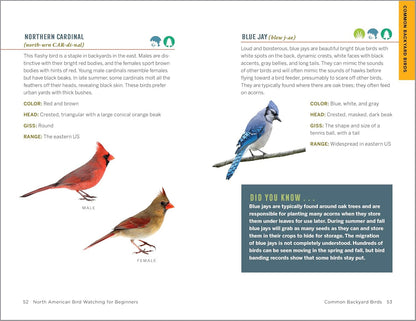 North American Bird Watching for Beginners: Field Notes on 150 Species to Start