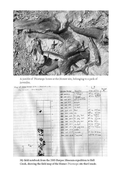 The Rise and Fall of the Dinosaurs: a New History of Their Lost World