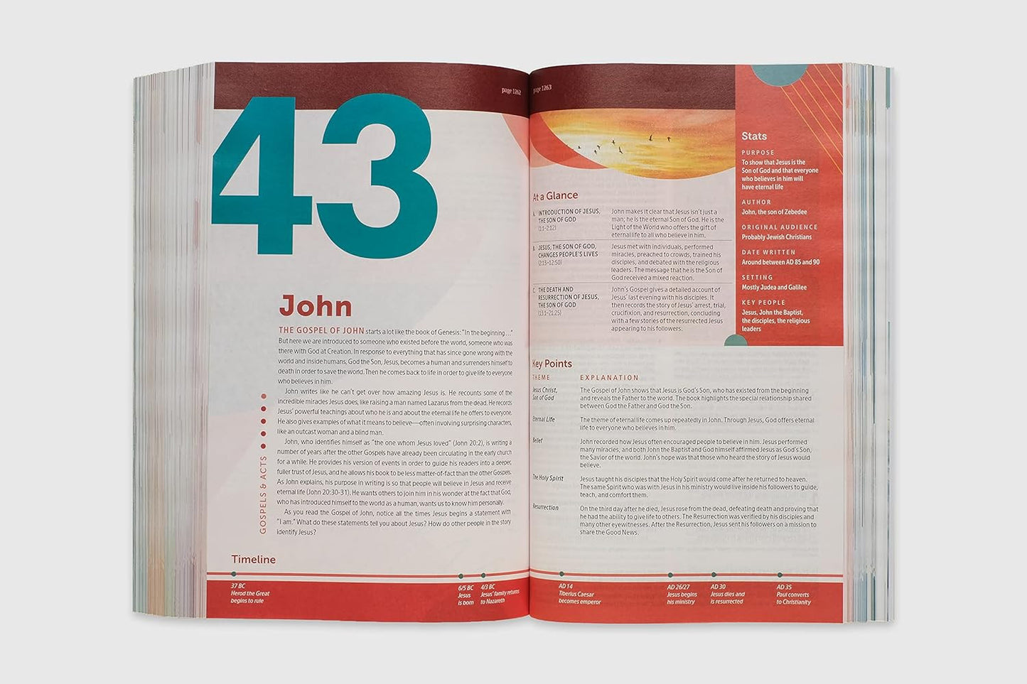 NLT Student Life Application Study Bible, Filament Enabled (Softcover, Red Lette