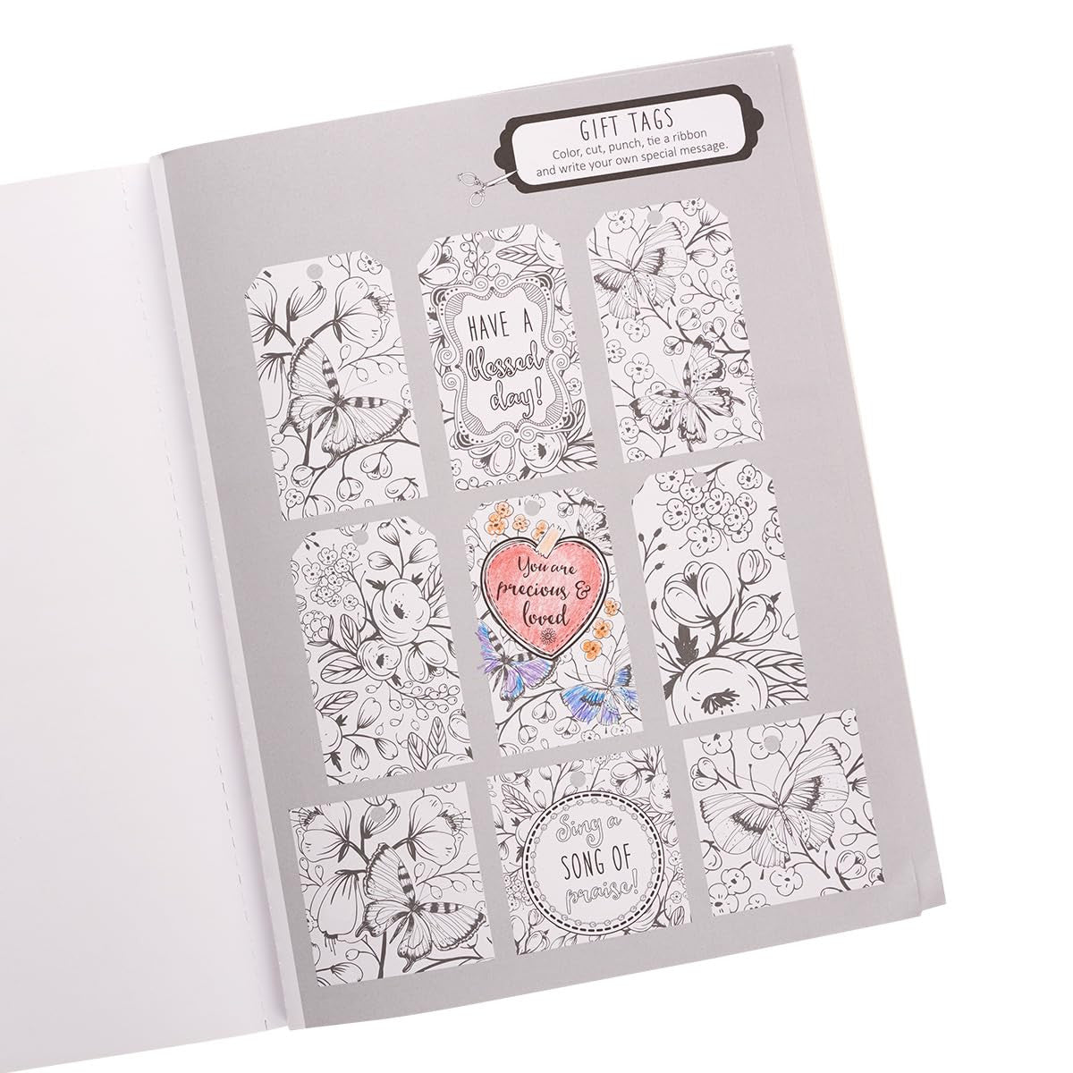 The Psalms in Color - Inspirational Coloring Book with Scripture for Women and T