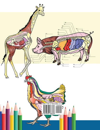 Veterinary Anatomy Coloring Book: Animals Physiology Self-Quiz Color Workbook fo