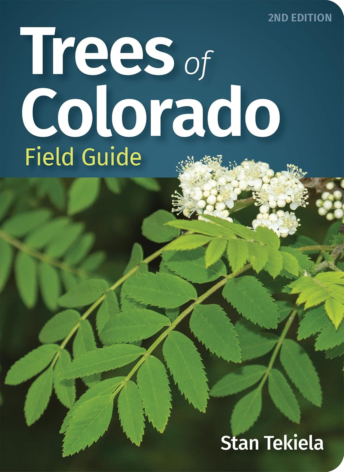 Trees of Colorado Field Guide (Tree Identification Guides)