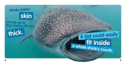 Weird but True! Ocean