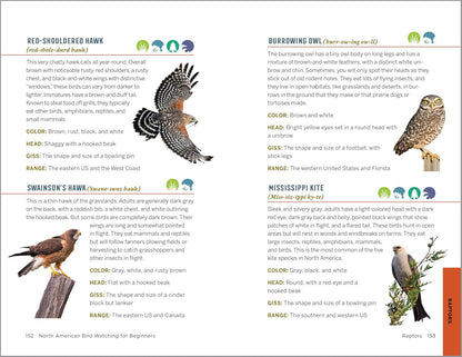 North American Bird Watching for Beginners: Field Notes on 150 Species to Start